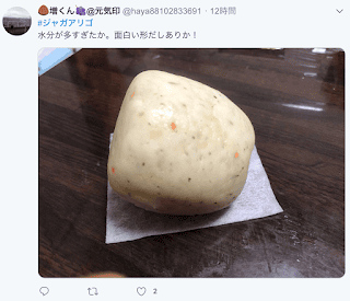 202408318ljld_
