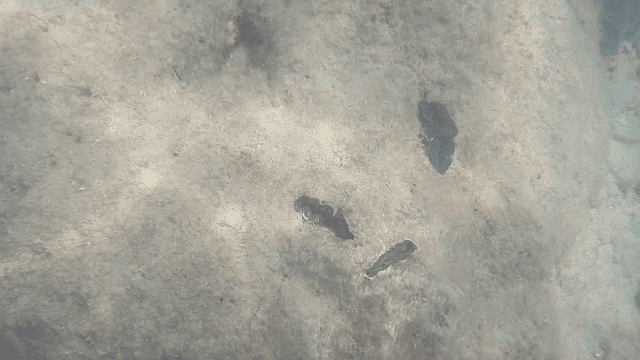20240831cnsrb_