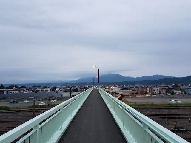 202408319io4v_