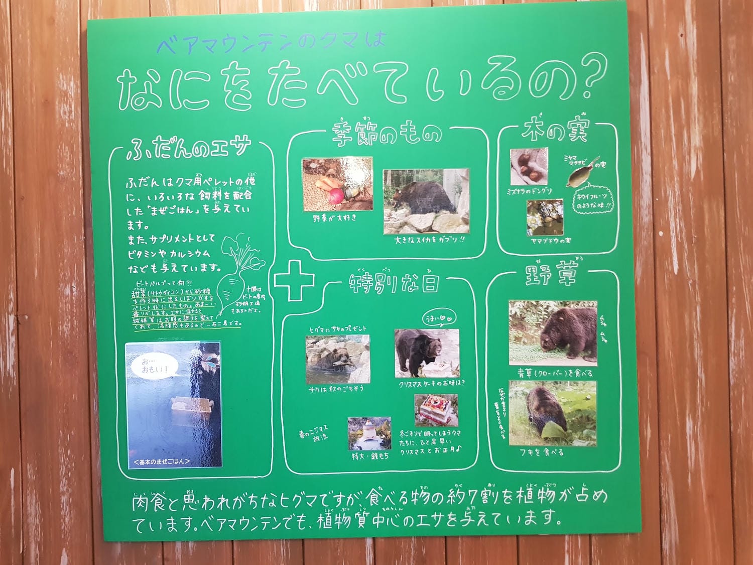 202408318onca_