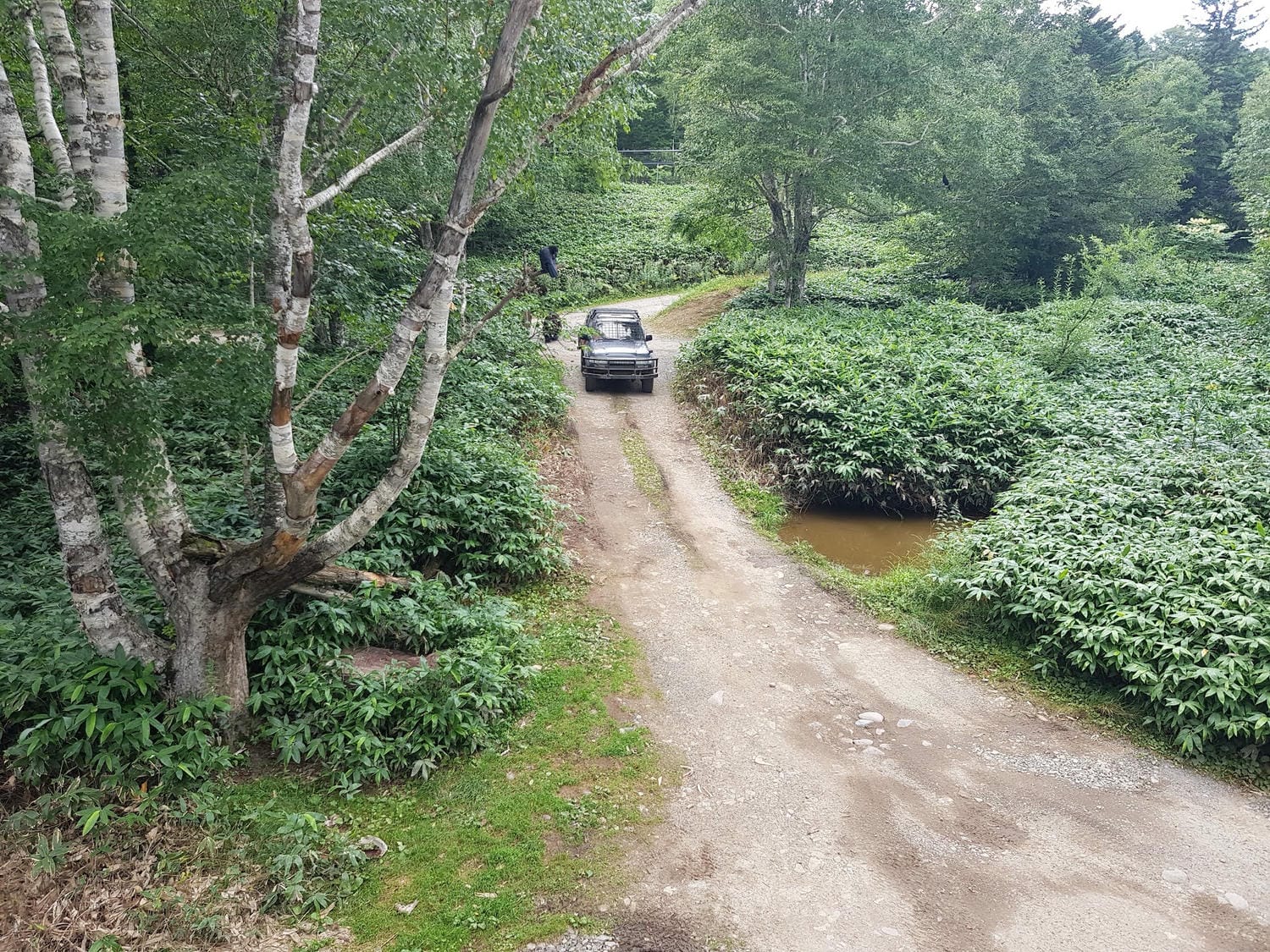 20240831mx2ru_
