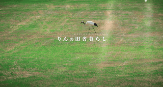 20240831el5pb_