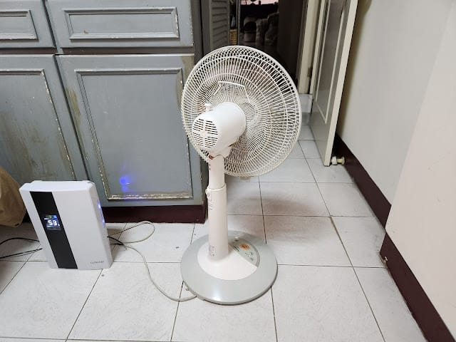 20240831pzdgn_