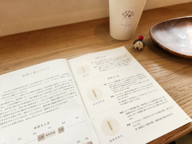 20240831my7qn_