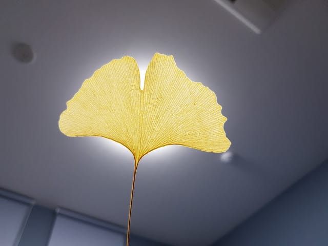 202408315c481_