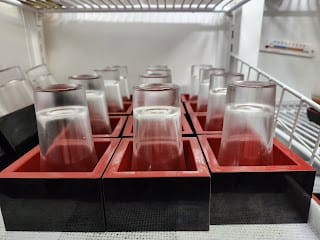 20240831cfzol_