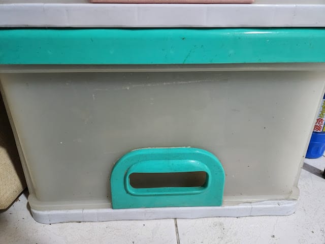 2024083128tap_